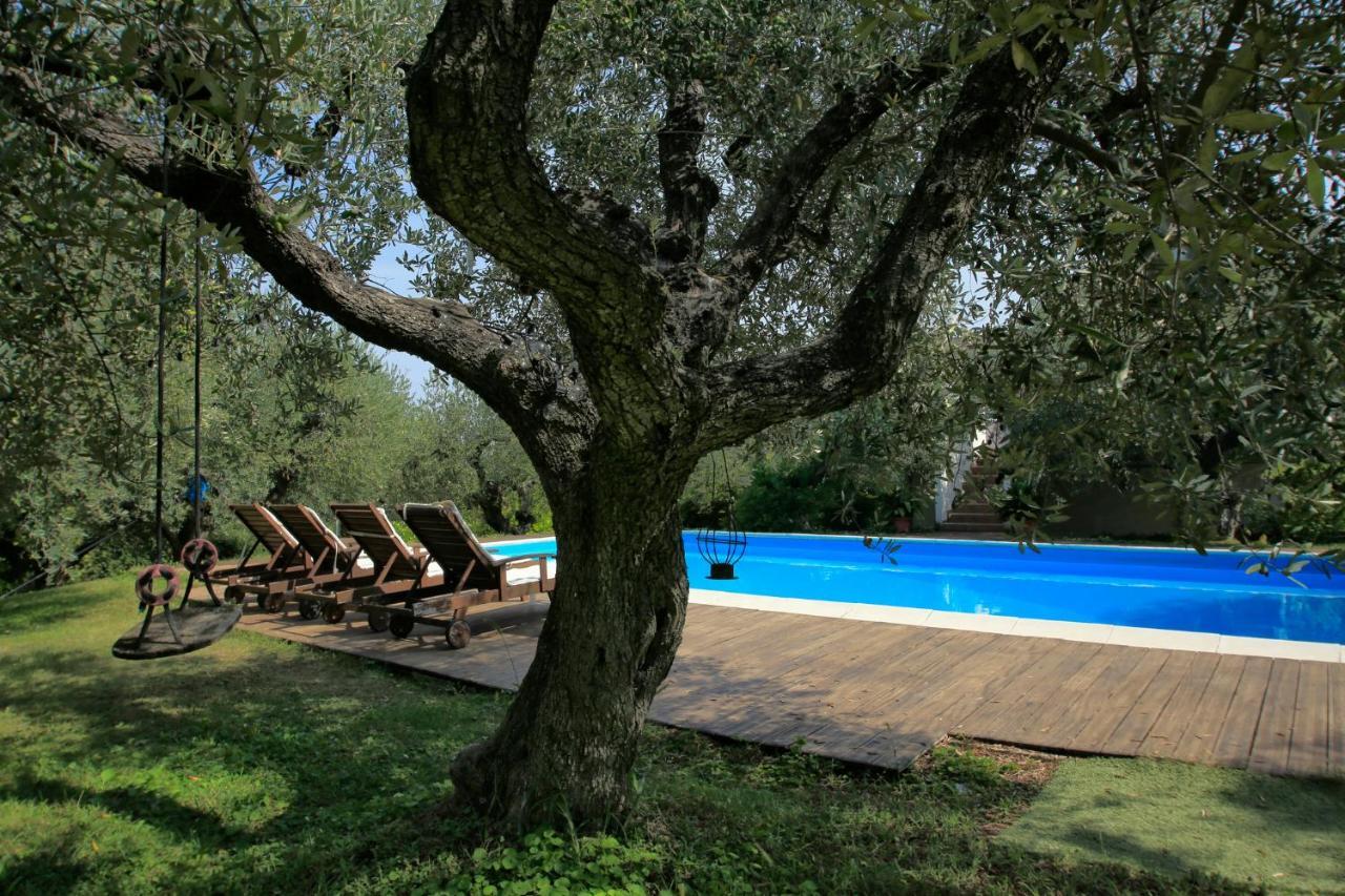 B&B Arli Torrevecchia Teatina Экстерьер фото
